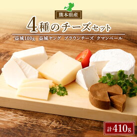 【ふるさと納税】4種のチーズセット セミハードタイプ ブラウンチーズ カマンベール おつまみ 食べ比べ 乳製品 冷蔵 送料無料