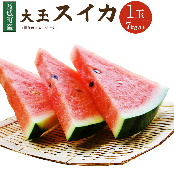 楽天市場 ふるさと納税 スイカ大玉 1玉 7kg以上 すいか スイカ 野菜 フルーツ 果物 九州産 熊本産 益城町産 期間限定 数量限定 送料無料 22年5月下旬より順次発送予定 熊本県益城町 楽天市場 ふるさと納税 スイカ大玉 1玉 7kg以上 すいか スイカ 野菜 フルーツ 果物 九州産 熊本産 益城町産 期間限定 数量限定 送料無料 22年5月下旬より順次発送予定 熊本県益城町