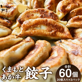 【ふるさと納税】くまもとあか牛100％餃子 合計60個 20個入り×3パック 赤牛 ぎょうざ 惣菜 おかず 国産 冷凍 送料無料