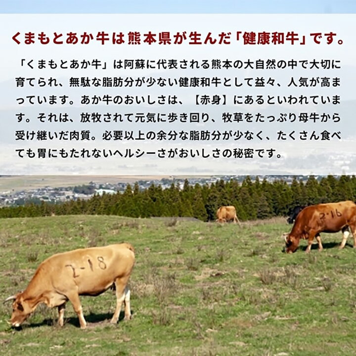 楽天市場】【ふるさと納税】熊本県産 GI認証取得 くまもとあか牛 切り落とし 合計1.2kg 600g×2パック 牛肉 あか牛 お肉 冷凍 熊本県 益城 町 送料無料 : 熊本県益城町 楽天市場】【ふるさと納税】熊本県産 GI認証取得 くまもとあか牛 切り落とし 合計1.2kg 600g×2パック 牛肉 あか牛 お肉 冷凍 熊本県 益城 町 送料無料 : 熊本県益城町
