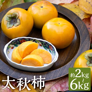 yӂ邳Ɣ[ŁzH` 2kg/3kg/6kg Iׂe ` JL ʕ F{Y BY ① y2025N10{`11{ɏ\z