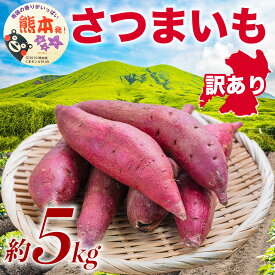 【ふるさと納税】訳あり さつまいも 約5kg サツマイモ さつま芋 野菜 やさい 焼き芋 熊本県産 国産 九州 熊本県 益城町 送料無料 【2026年10月上旬～11月下旬発送予定】