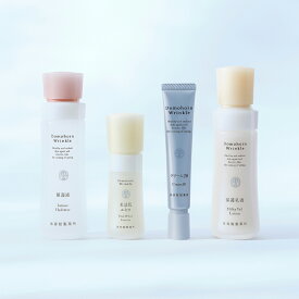 【ふるさと納税】ドモホルンリンクル 基本4点セット 化粧水 美容液 クリーム 乳液 約60日分 再春館製薬所 保湿液 美活肌エキス クリーム20 保護乳液 スキンケア フェイスケア 送料無料