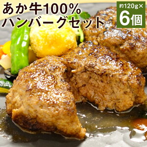 yӂ邳Ɣ[Łz100no[OZbg 120g×6 v720g ̂200mlt no[O y      Ⓚ  yVX[p[SALE 9J