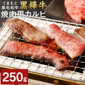 yӂ邳Ɣ[Łz܂ƍјa  A4`A5 ēpJr 250g   ~ Ԑg  Ă BBQ јa Y BY F{Y Ⓚ  yVX[p[SALE 9J