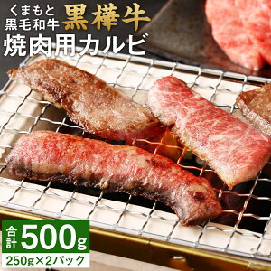 yӂ邳Ɣ[Łz܂ƍјa  A4`A5 ēpJr v500g 250g×2pbN   ~ Ԑg  Ă BBQ јa Y BY F{Y Ⓚ 