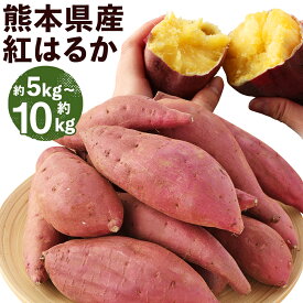 【ふるさと納税】熊本産 紅はるか （ 約5kg / 約10kg ） 選べる容量 さつまいも いも 蜜芋 芋 根菜 焼き芋 野菜 やさい 常温 益城町産 熊本県産 九州産 国産 送料無料【2026年3月下旬まで発送予定】