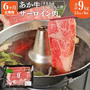yӂ邳Ɣ[Łzy6z  ₫ Ԃԗp T[C v9kg 1.5kg(500g×3pbN)×6 T[C XCX  a  ԋ Ă Ԃ ԓ 