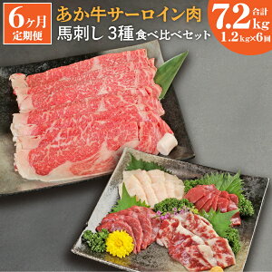 yӂ邳Ɣ[Łzy6z  ₫ Ԃԗp T[C nh Hה׃Zbg v7.2kg T[C v6kg XCX nh v1.2kg Ԑg600g ~300g Ă