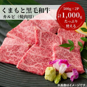 【ふるさと納税】熊本県産黒毛和牛 カルビ焼肉1,000g