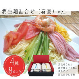 【ふるさと納税】潤生麺詰合せ（春夏）8食入り