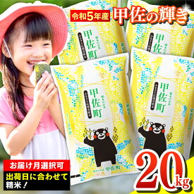 【ふるさと納税】★令和5年産★『甲佐の輝き』精米20kg（5kg袋×4袋）【配送月選択可！】／出荷日に合わせて精米 ／国産 ブレンド米 白米 訳あり 規格外 送料無料 マイスター 複数原料米 国内産 熊本産 熊本県産 【価格改定】ZD