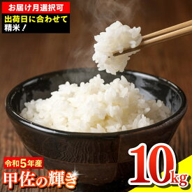 【ふるさと納税】令和5年産『甲佐の輝き』精米10kg（10kg×1袋）【配送月選択可！】／出荷日に合わせて精米【価格改定XB】