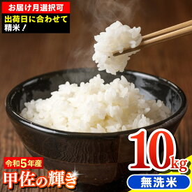 【ふるさと納税】令和5年産『甲佐の輝き』無洗米10kg（5kg×2袋）【配送月選択可！】／出荷日に合わせて精米／国産 ブレンド米 白米 訳あり 送料無料 マイスター 複数原料米 国内産 熊本産 熊本県産 【価格改定X】