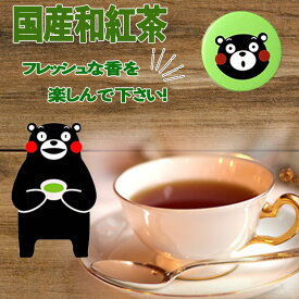 【ふるさと納税】緑缶　国産和紅茶ティーパック
