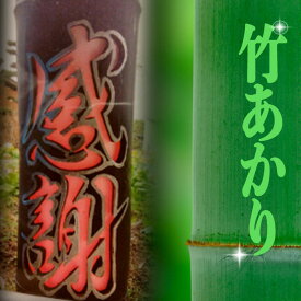 楽天市場 竹あかりの通販