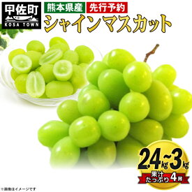 楽天市場 ふるさと納税 シャインマスカット 熊本の通販