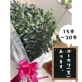 楽天市場 ユーカリ フラワーアレンジメント 花 観葉植物 花 ガーデン Diyの通販