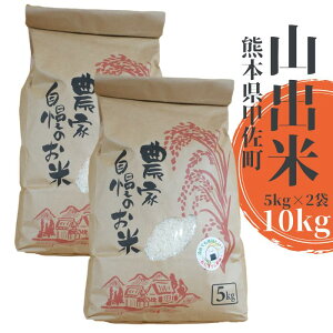 【ふるさと納税】【新米先行受付】甲佐町産 山出米10kg(5kg×2袋) - 令和7年11月以降順次発送 新米 令和7年産 精米 お米 米 しっとり もちもち 甘み おにぎり ごはん 複数原料米 国産 九州産
