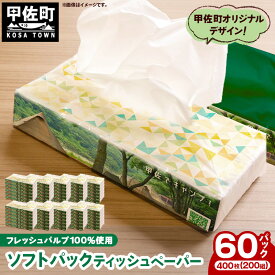 【ふるさと納税】ティッシュペーパーソフトパック　400枚（200組）60パック - ソフトパック ティッシュ ペーパー 生活用品 雑貨 日用品 必需品 紙 常備品 まとめ買い 備蓄 防災 ストック 熊本県 甲佐町