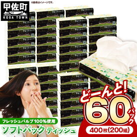 【ふるさと納税】ティッシュペーパーソフトパック　400枚（200組）60パック - ソフトパック ティッシュ ペーパー 生活用品 雑貨 日用品 必需品 紙 常備品 まとめ買い 備蓄 防災 ストック 熊本県 甲佐町【ZB】【価格改定X】