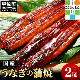 【ふるさと納税】【甲佐ブランド】 うなぎ 蒲焼き 2尾 【こうさんもん認定商品】熊本産 国産 総重量300g以上 - うなぎ 鰻 蒲焼 国産 熊本産 こうさんもん 甲佐ブランド 甲佐町特産 蒲焼き ふっくら 冷凍 熊本県 甲佐町