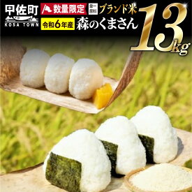 【ふるさと納税】★新米先行受付★令和6年産★数量限定★熊本を代表するブランド米13kg（森のくまさん5kg×2袋、3kg×1袋）2024年10月20日前後から順次発送開始予定【価格改定ZE】