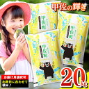 令和7年産『甲佐の輝き』精米20kg（5kg×4袋）【配送...
