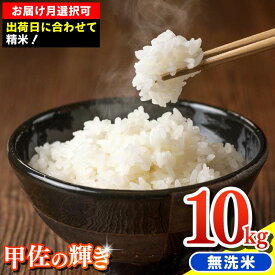 【ふるさと納税】令和7年産『甲佐の輝き』無洗米10kg（5kg×2袋）【配送月選択可！】／出荷日に合わせて精米 - 国産 白米 無洗米 お米 ブレンド米 複数原料米 訳あり 厳選 マイスター 生活応援 おすすめ 熊本県 甲佐町 【価格改定XJ】