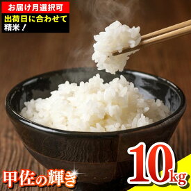 【ふるさと納税】令和7年産『甲佐の輝き』精米10kg（5kg×2袋）【配送月指定可！】／出荷日に合わせて精米- 国産 白米 精米 お米 ブレンド米 複数原料米 訳あり 厳選 マイスター 生活応援 ひのひかり 森のくまさん おすすめ 熊本県 甲佐町【価格改定XN】