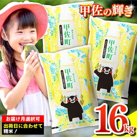 【ふるさと納税】【先行受付】新米 令和7年産『甲佐の輝き』精米16kg（5kg×2袋、6kg×1袋）【配送月指定可！】／出荷日に合わせて精米 - 国産 白米 精米 お米 ブレンド米 複数原料米 訳あり 厳選 マイスター 生活応援 おすすめ 熊本県 甲佐町 【価格改定ZO】