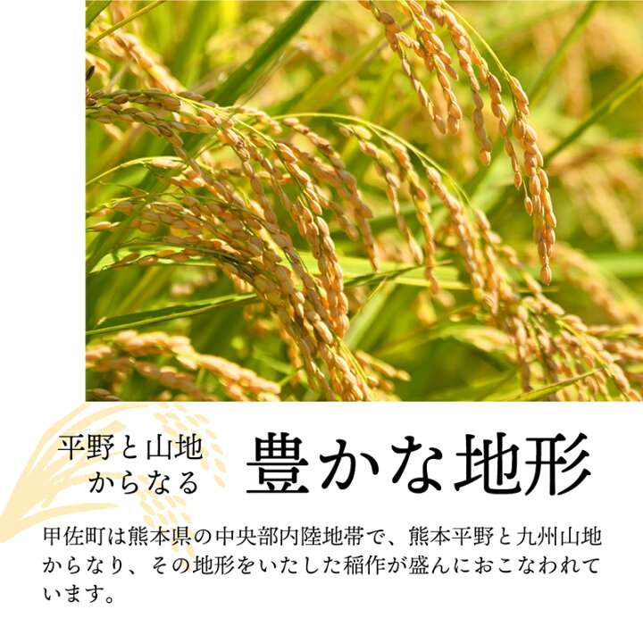 楽天市場】【ふるさと納税】【先行受付】新米 令和7年産『甲佐の輝き  