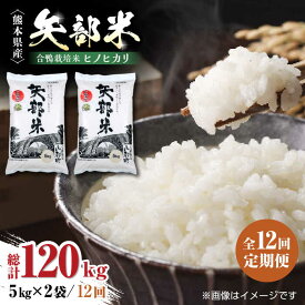 【ふるさと納税】【全12回定期便】令和5年産 矢部米 合鴨栽培米 10kg (2kg×5袋) お米 白糸台地 熊本産 特別栽培米 定期便【一般社団法人 山都町観光協会】[YAB021] 288000 288,000 288000円 288,000円