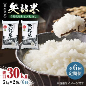 【ふるさと納税】【全6回定期便】令和5年産 矢部米 合鴨栽培米 10kg (5kg×2袋) お米 合鴨農法 合鴨米 熊本産 定期便【一般社団法人 山都町観光協会】[YAB037] 144000 144,000 144000円 144,000円