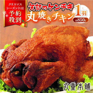 yӂ邳Ɣ[Łz̃P`L ۏĂ`L 850g 1H F{ Rs { `L NX}X p[eByL ۏd~[gz[YAK007]
