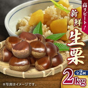 yӂ邳Ɣ[Łzys\zy9菇zyS2ցzVN I 2kgyûCECvSƁz[YAL024]