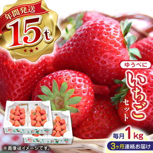 yӂ邳Ɣ[Łzys\zy2025N12菇zyS3ցzF{Y 䂤ׂ  Zbg 250g×4P _ Yn F{Y RsY BY Y   C`S 