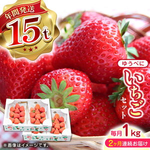 yӂ邳Ɣ[Łzys\zy2025N12菇zyS2ցzF{Y 䂤ׂ  Zbg 250g×4P _ Yn F{Y RsY BY Y   C`S 