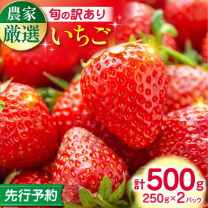 yӂ邳Ɣ[Łzys\zy2025N12菇zy󂠂z Hה Zbg 4i v500g ( 250g × 2P ) _ Yn F{Y RsY C`S  Xgx[ t[c 