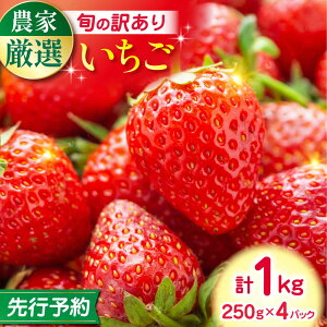 yӂ邳Ɣ[Łzys\zy2025N12菇zy󂠂z Hה Zbg 4i v1000g ( 250g × 4P ) _ Yn F{Y RsY C`S  Xgx[ t[c 