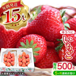 yӂ邳Ɣ[Łzys\zy2025N12菇zyS5ցz䂤ׂ  Zbg 250g×2PyȂ͂_z[YBI063]
