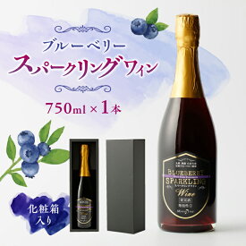 【ふるさと納税】【化粧箱入】スパークリングワイン 750ml ブルーベリー ワイン 熊本 山都【社会福祉法人 御陽会 サポートハウス 明星学園】[YBM010] 10000 10,000 10000円 10,000円 1万円