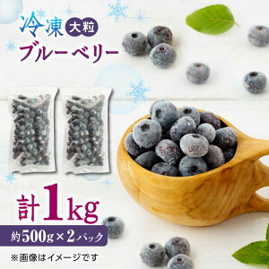 yӂ邳Ɣ[ŁzyʌzⓀu[x[ 嗱 v1kg (500g×2pbN) F{Y RsY u[x[ t[c X[W[ ʕ  Yy_z[YBQ003]