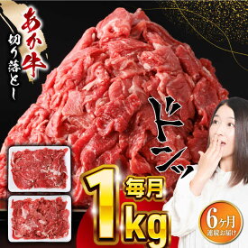 【ふるさと納税】【全6回定期便】熊本県産 あか牛 切り落とし 合計6kg (500g×2P) 熊本 赤牛 褐牛 あかうし 褐毛和種 肥後 冷凍 国産 牛肉【五右衛門フーズ】[YBZ007] 100000 100,000 100000円 100,000円 10万円