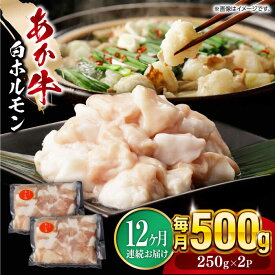 【ふるさと納税】【全12回定期便】熊本県産 あか牛 白 ホルモン 合計6kg(250g×2P) 熊本 赤牛 褐牛 あかうし 褐毛和種 肥後 冷凍 国産 牛肉【五右衛門フーズ】[YBZ020] 120000 120,000 120000円 120,000円 12万円