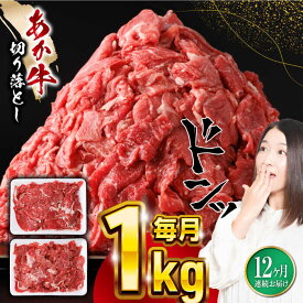 【ふるさと納税】【全12回定期便】熊本県産 あか牛 切り落とし 合計12kg (500g×2P) 熊本 赤牛 褐牛 あかうし 褐毛和種 肥後 冷凍 国産 牛肉【五右衛門フーズ】[YBZ022] 120000 120,000 120000円 120,000円 12万円