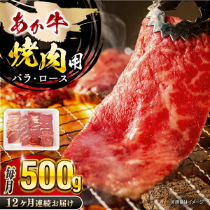 yӂ邳Ɣ[ŁzyS12ցzF{ ēpJbg ( o [X ) 500g F{   Rs a ē [X o   BBQ o[xL[   јa  Ⓚ 