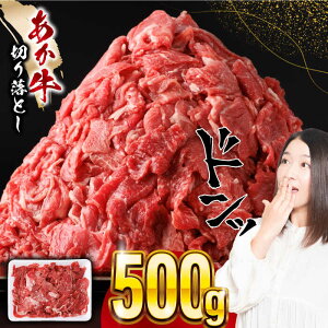 yӂ邳Ɣ[Łz ؂藎Ƃ 500g F{ ԋ   јa  Ⓚ Y  a ؂藎Ƃ ܐ؂  y܉Eqt[Yz[YBZ055]