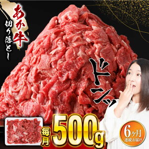 yӂ邳Ɣ[ŁzyS6ցz ؂藎Ƃ 500g F{ ԋ   јa  Ⓚ Y  a ؂藎Ƃ ܐ؂  y܉Eqt[Yz[YBZ057]