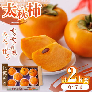yӂ邳Ɣ[Łzys\zy10{菇zyϔzRsY H` 2kg Ê` `  ʕ t[c fU[g XC[c H̖o Yn RsY v[g 蕨